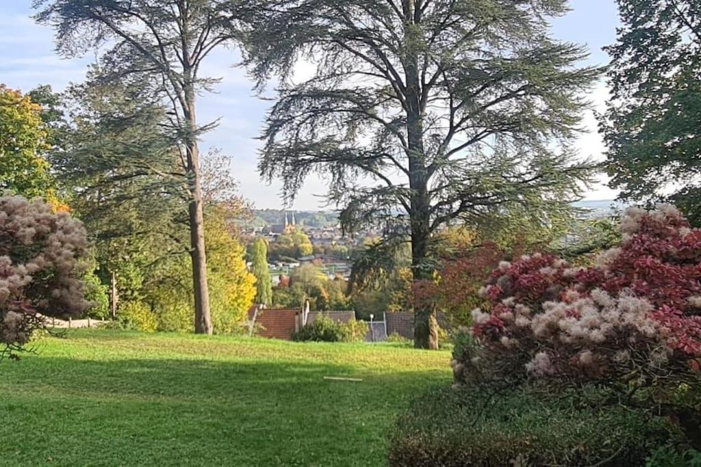 Loft Les Deux Cedres Avec Vue Panoramique Διαμέρισμα Charleville-Mézières Εξωτερικό φωτογραφία